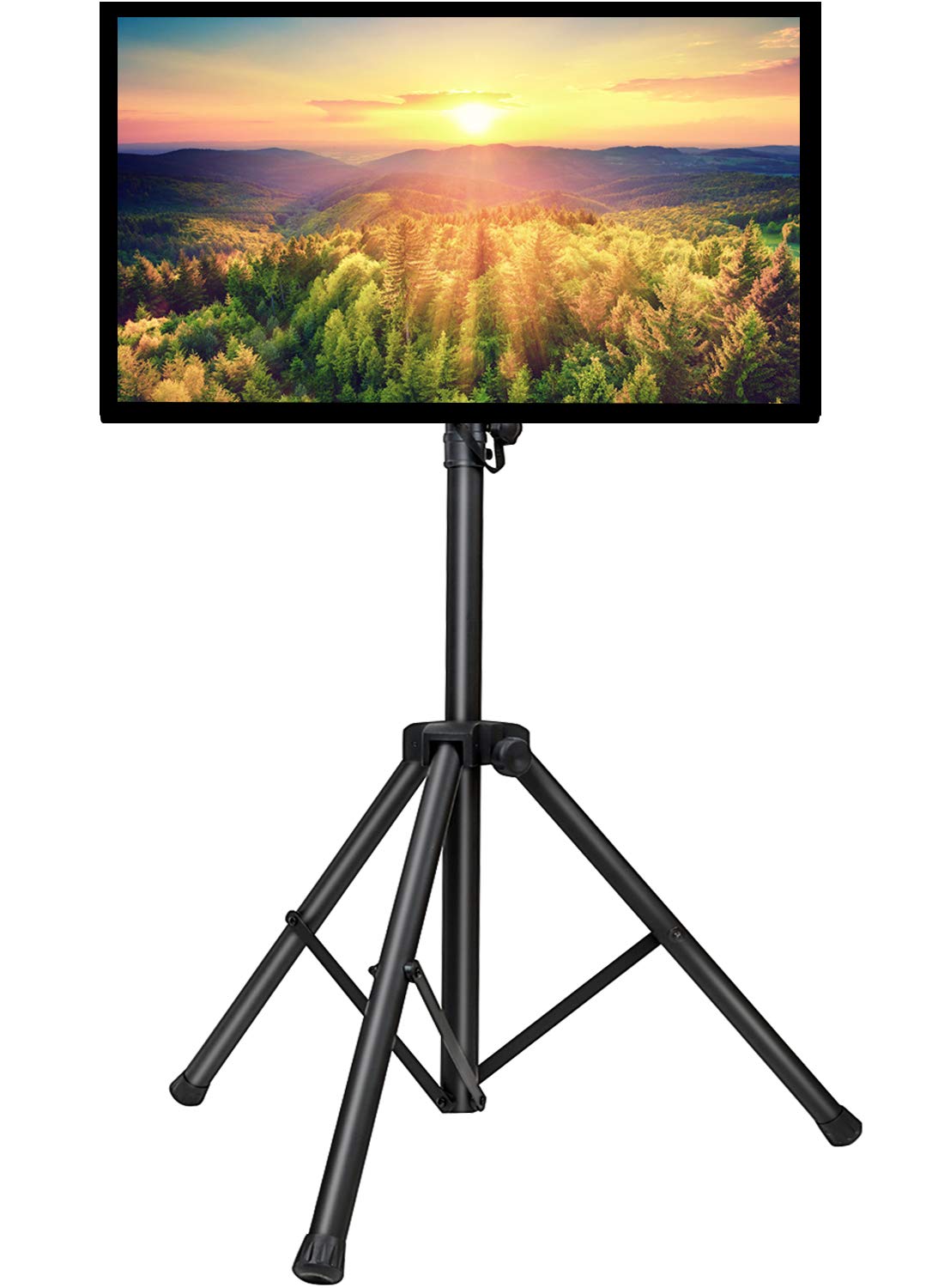 Plasma TV with stand